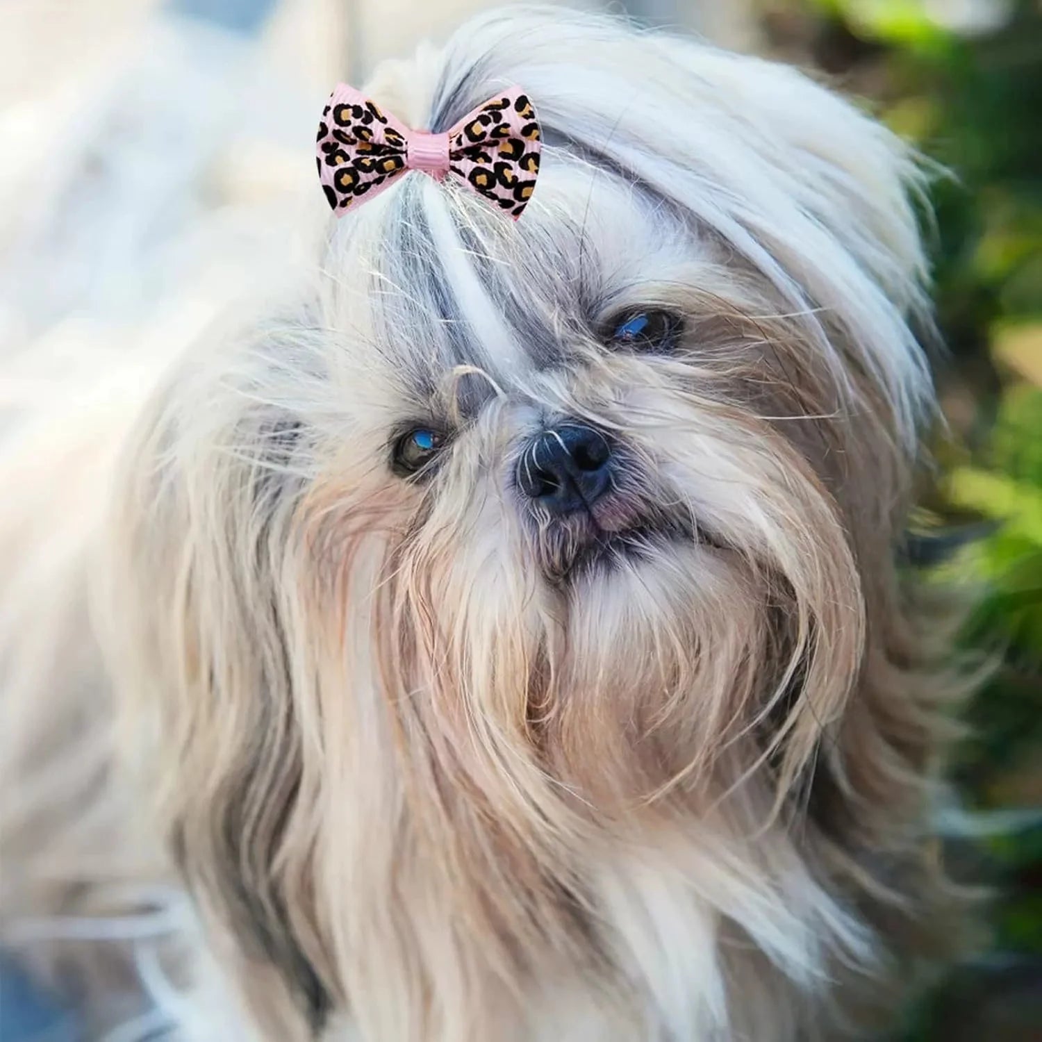 10pcs Creativity Pet Hair Accessories Bow Polyester Cute Puppy Bow with Rubber Band Suitable for Dogs Cat Grooming Accessories
