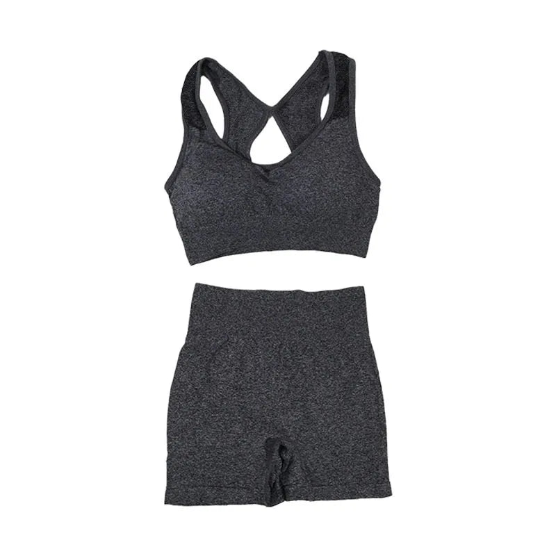 2Pcs Women Yoga Outfit Set Sports Fitness Vest Running Workout Shorts Suit Gym Training Active Wear Handmade Accessory