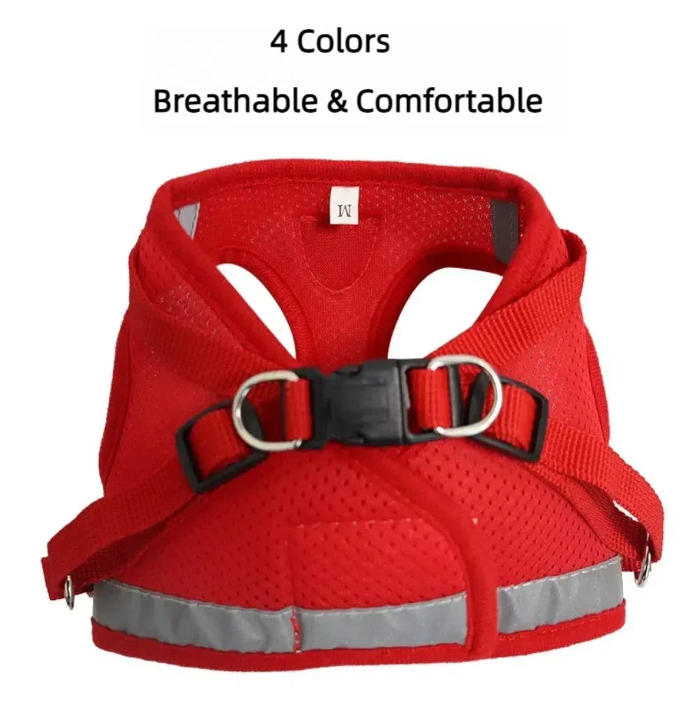 Escape-Proof Mesh Cat Harness Set