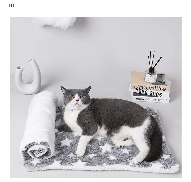 Flannel Winter Sleeping Mattress Cushion