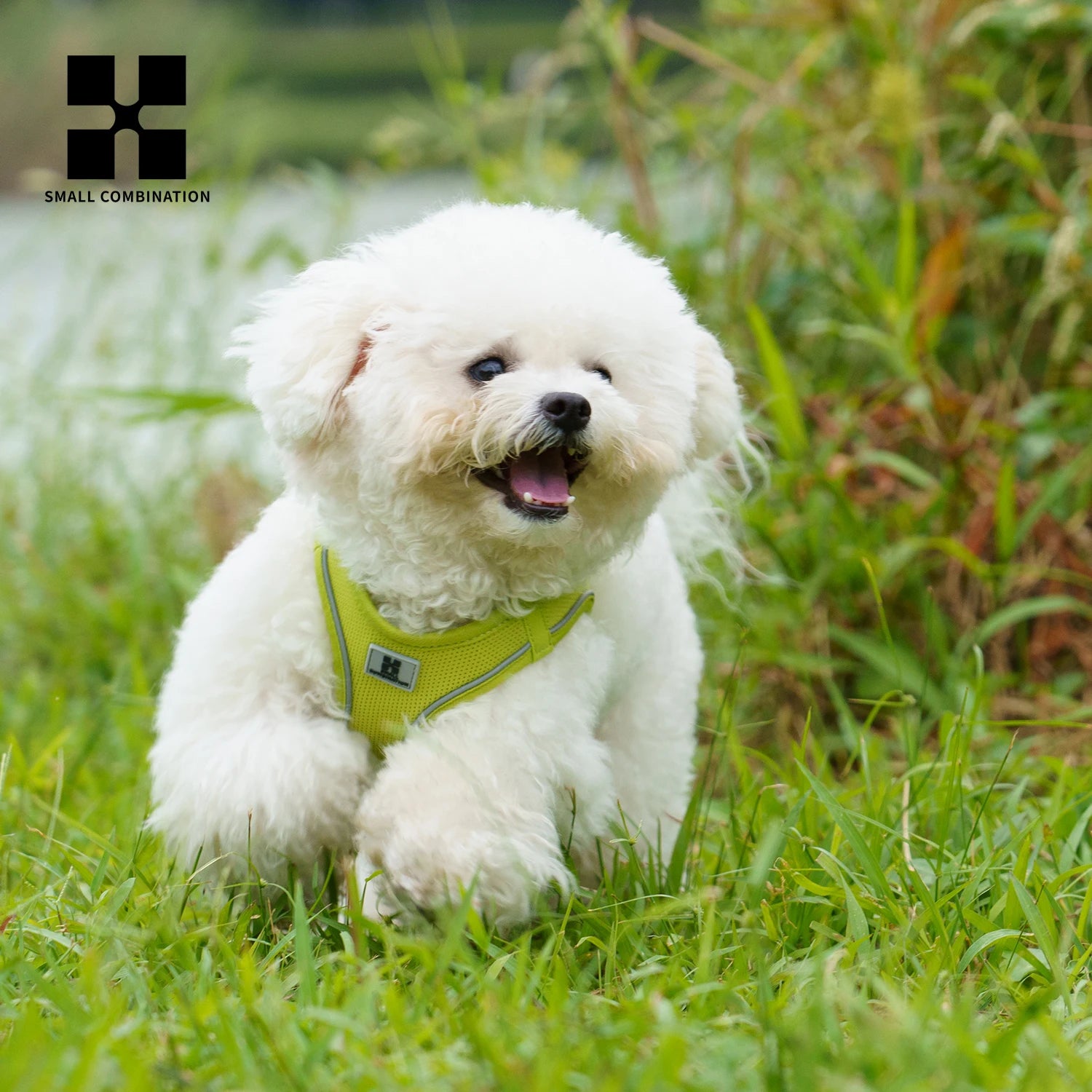 Reflective Outdoor Walking Harness Set