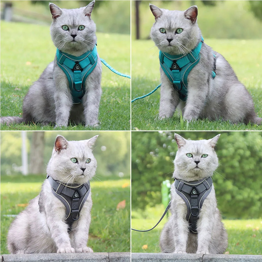 Padded Breakaway Vest Harness Set
