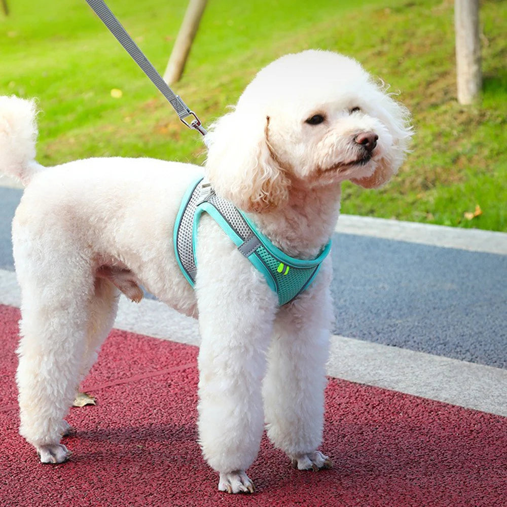 Striped Chest Rope Harness Vest