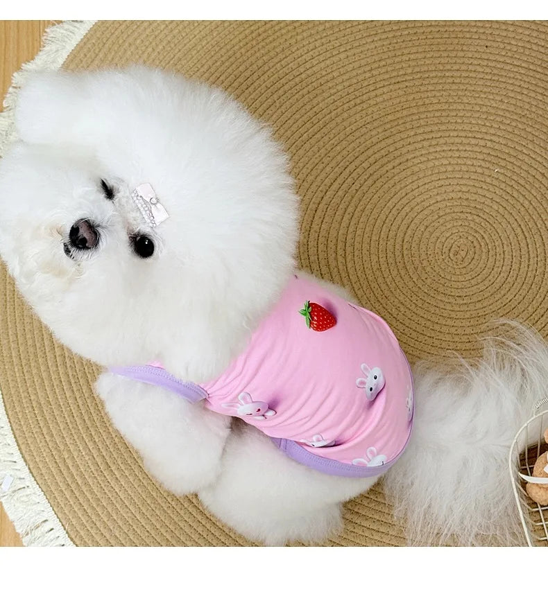 Spring pet apparel: cat & dog clothing - cartoon 3d print, teddy style, cute & breathable, anti-shedding, dropshipping available
