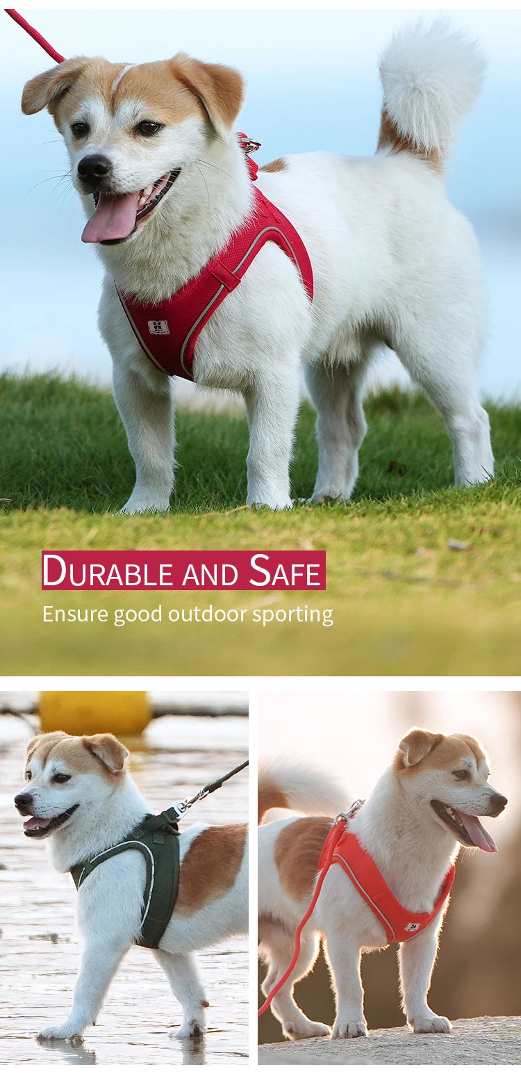 Reflective Outdoor Walking Harness Set