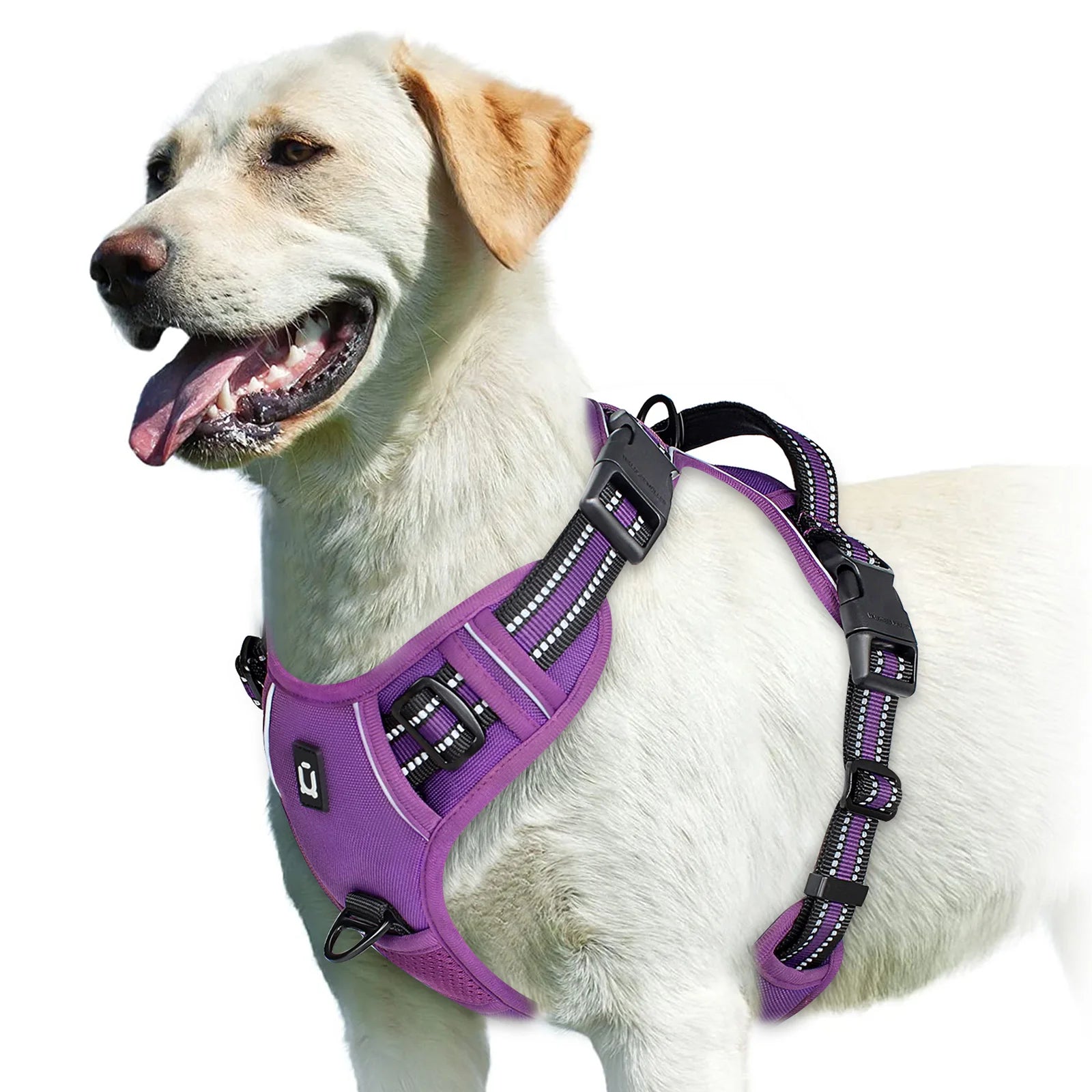 Easy Control Handle No-Pull Vest