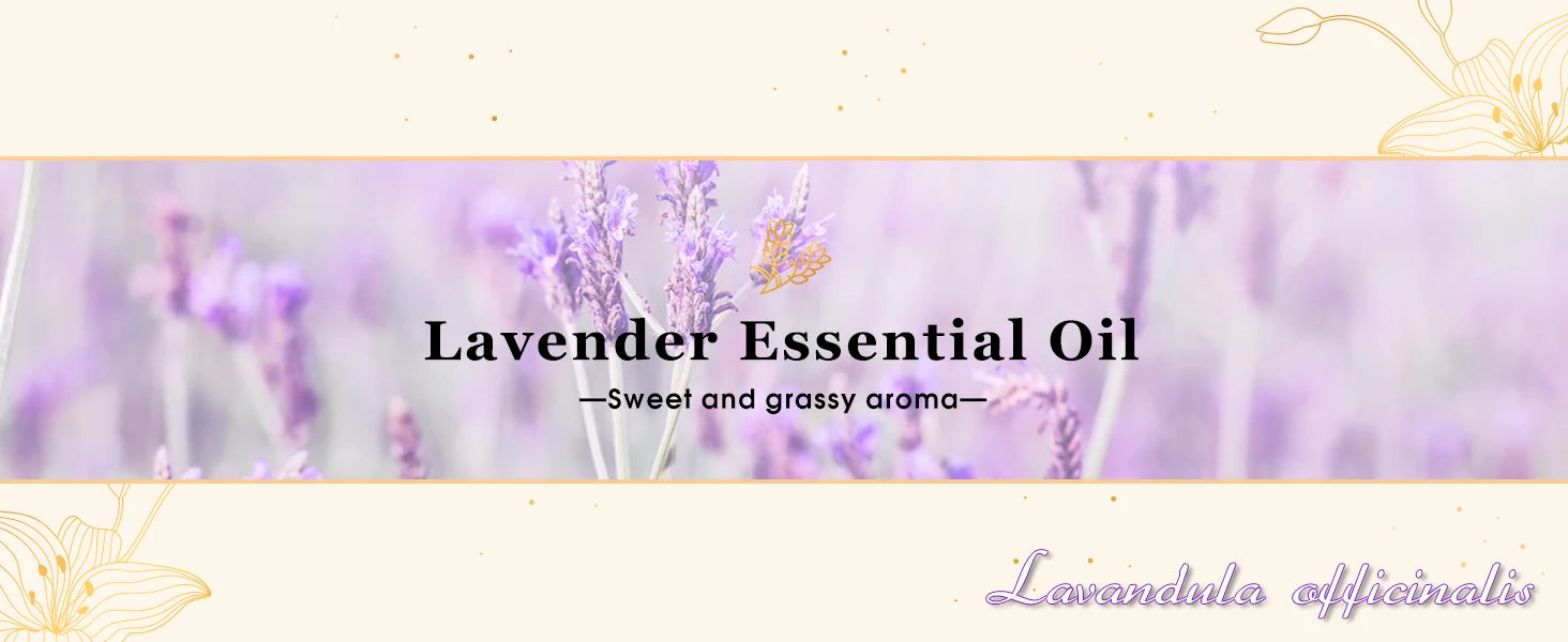 Large Bottle Aromatherapy Essential Oil