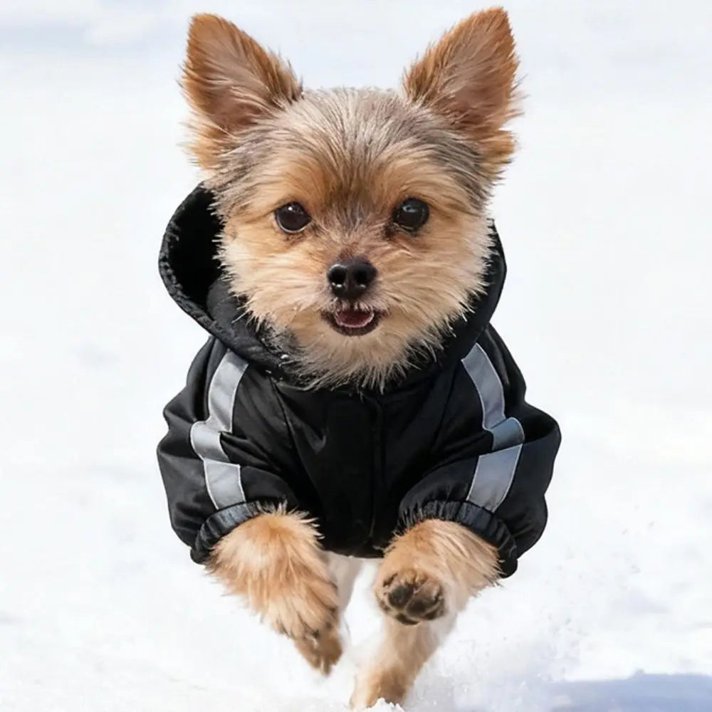 Windproof Reflective Winter Dog Coat