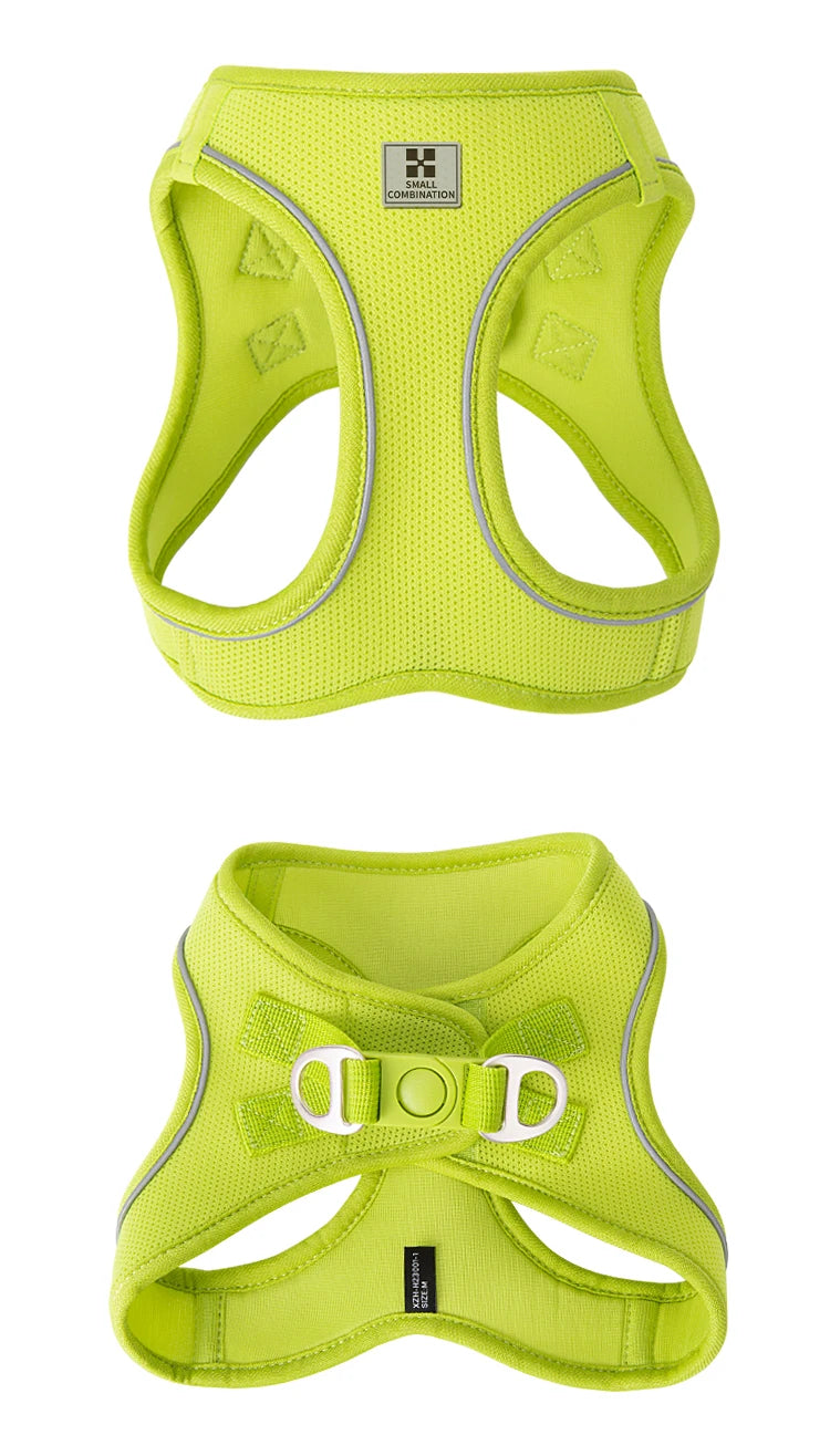 Reflective Outdoor Walking Harness Set