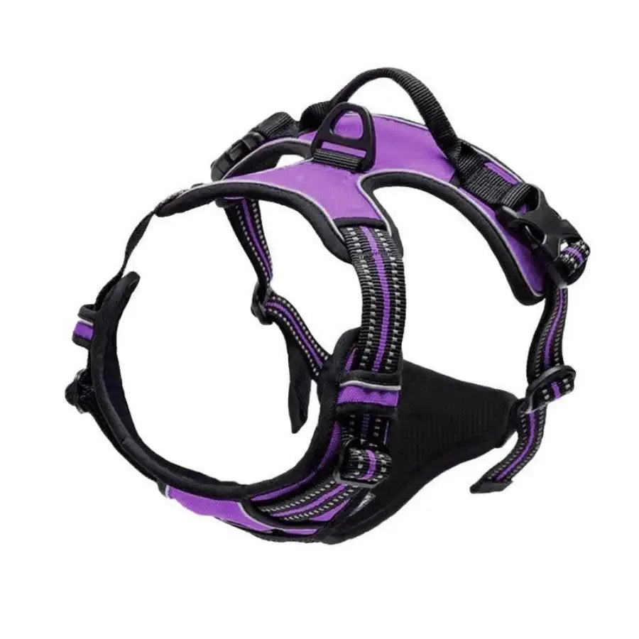 Complete Dog Collar Harness Set