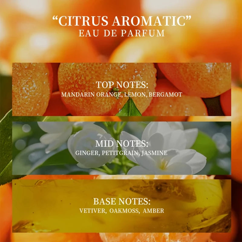 Women's orange-scented roll-on perfume, elegant citrus fragrance, light and natural scent, uniquely refreshing, increases the likelihood of attracting attention from the opposite sex. Selected perfume ingredients, alcohol-fre
