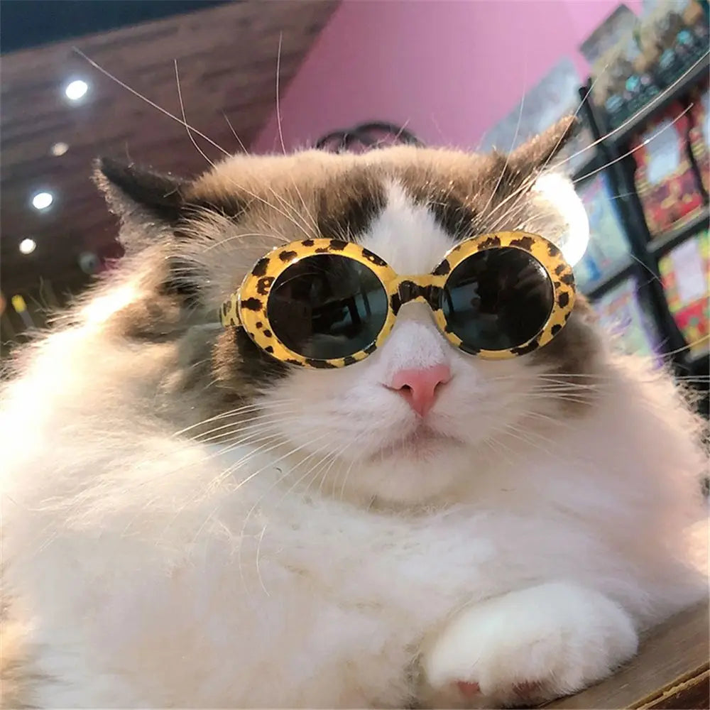 Doll Accessories Cool Photograph Props Pet Accessories Small Dog Cat Glasses Round Frames Glasses Pet Eyeglasses Dog Sunglasses
