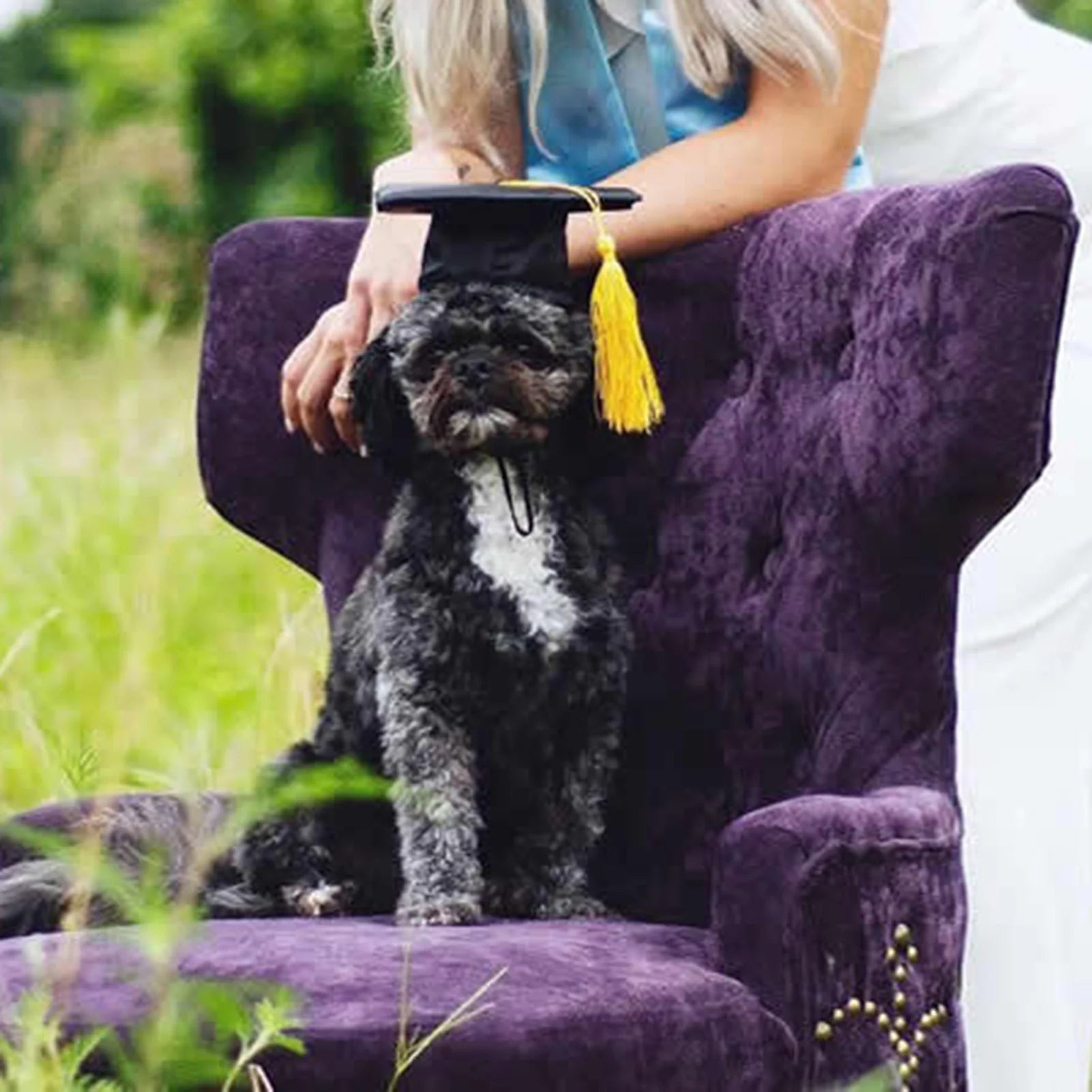 Graduation Hat Pet Accessory Adjustable Pet Graduation Cap For Puppy Kitten Pet Birthday Dress Up Props
