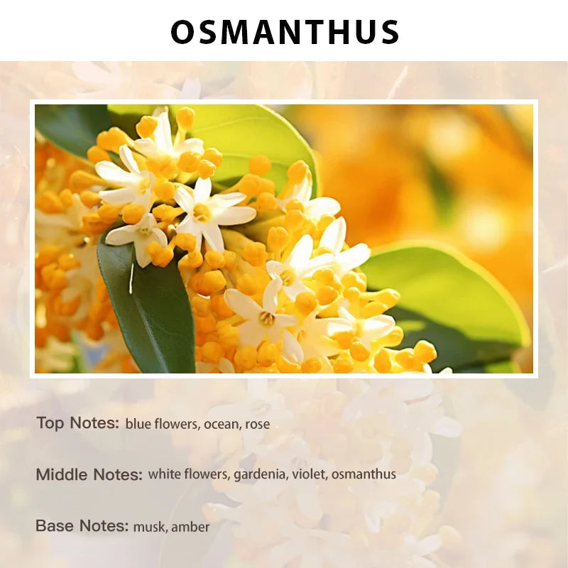 Hotel Aroma Fragrance Essential Oil