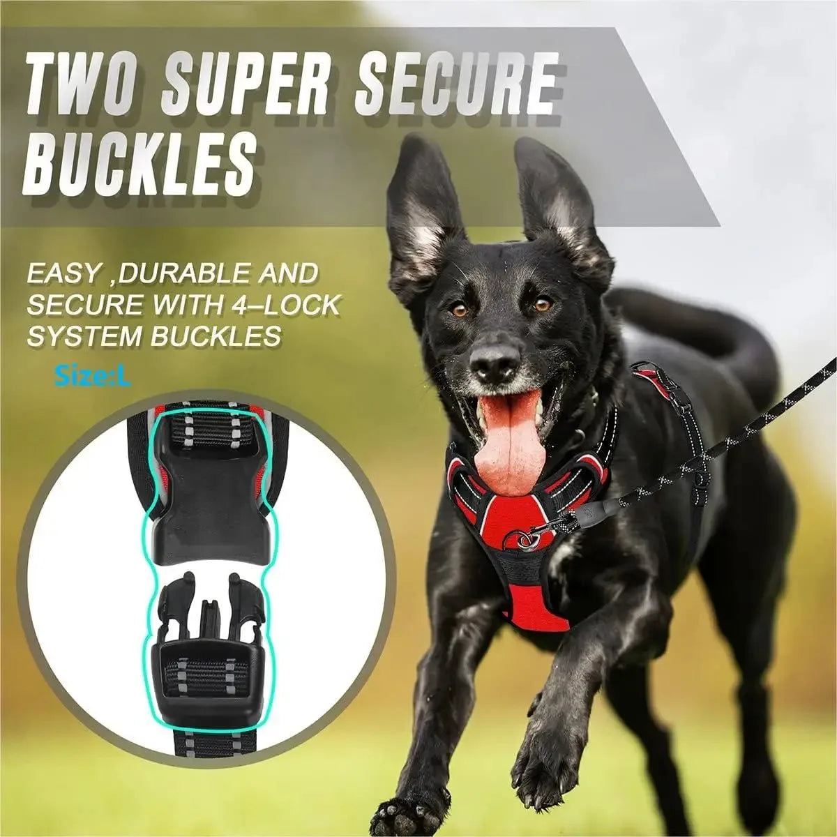 Complete Dog Collar Harness Set