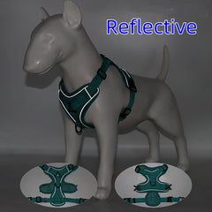 Padded Breakaway Vest Harness Set