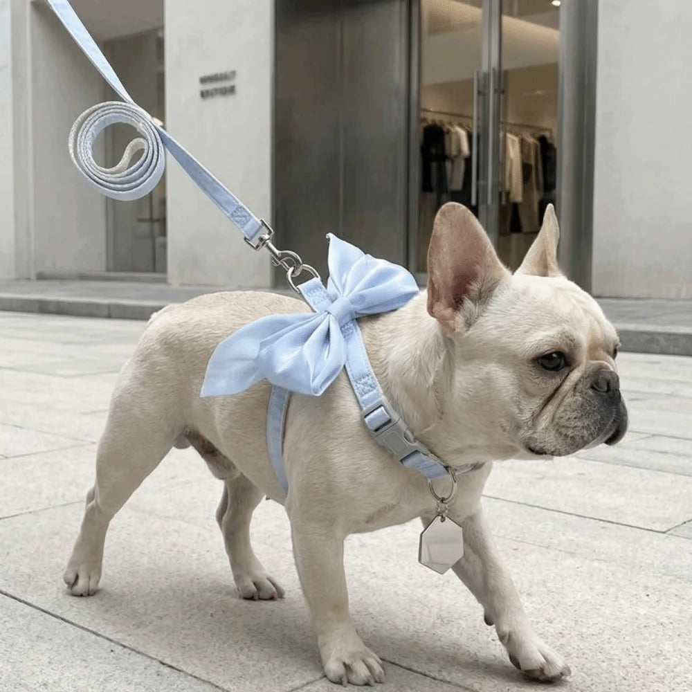 Pet Accessories Adjustable Pet Harness Cute Bow Breathable Dog Chest Strap Escape-Proof Comfort Cat Leash for Dogs Puppy Rabbit