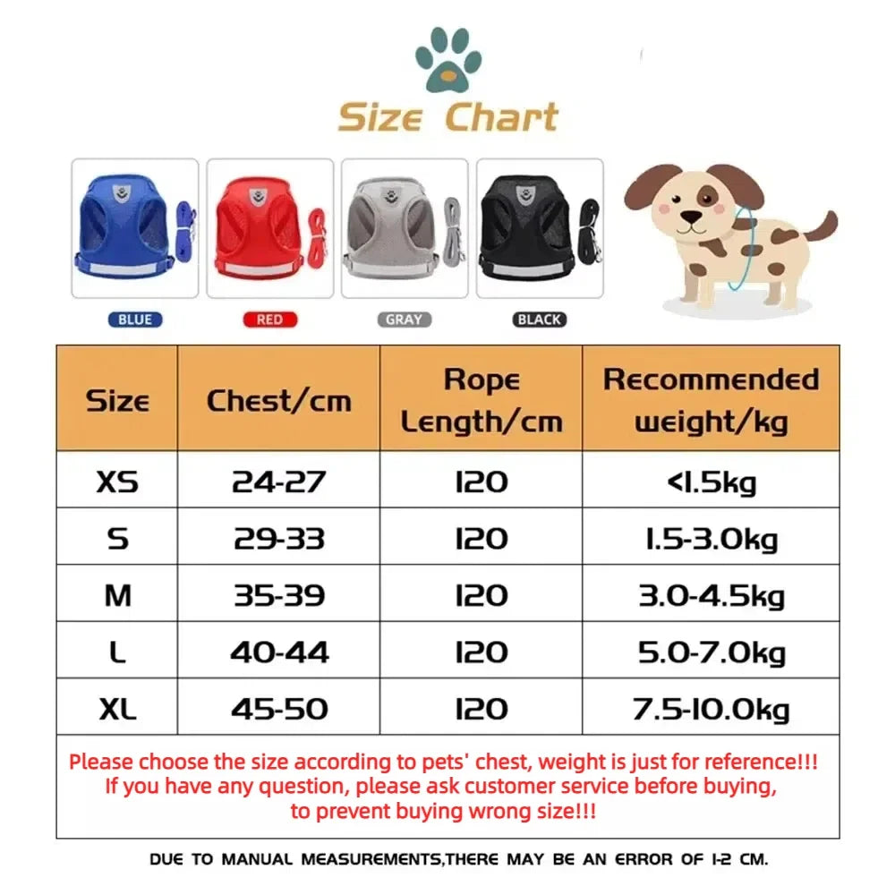 Escape-Proof Mesh Cat Harness Set