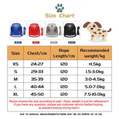 Escape-Proof Mesh Cat Harness Set
