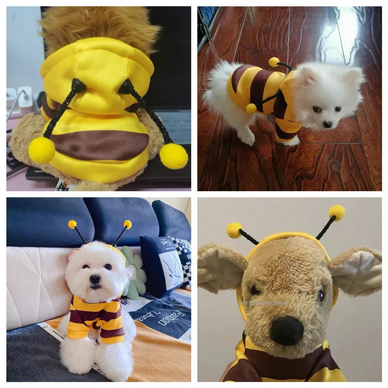 Sweet Bee Pet Costume Outfit