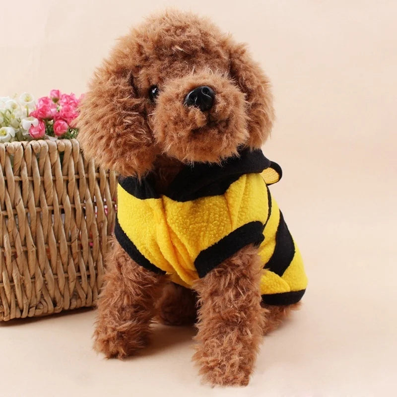 Fashion Bear Warm Coat Hoodie