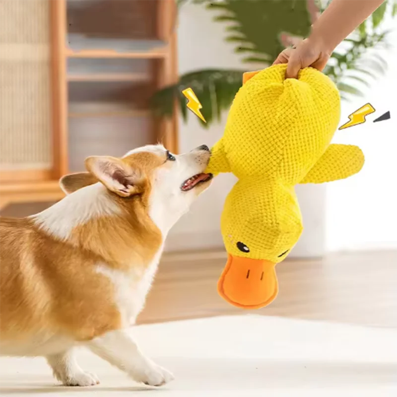 Cuddly Yellow Duck Squeak Toy