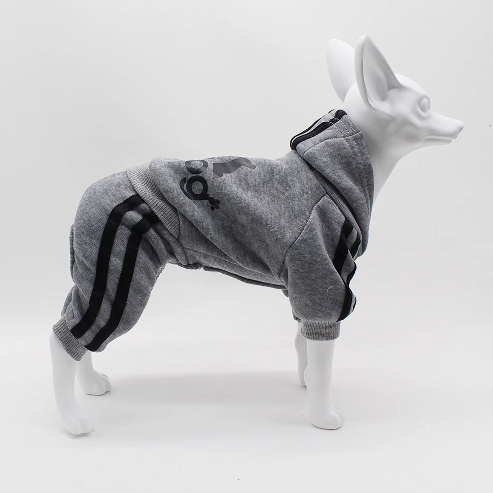 Comfortable Spring Dog Sports Suit