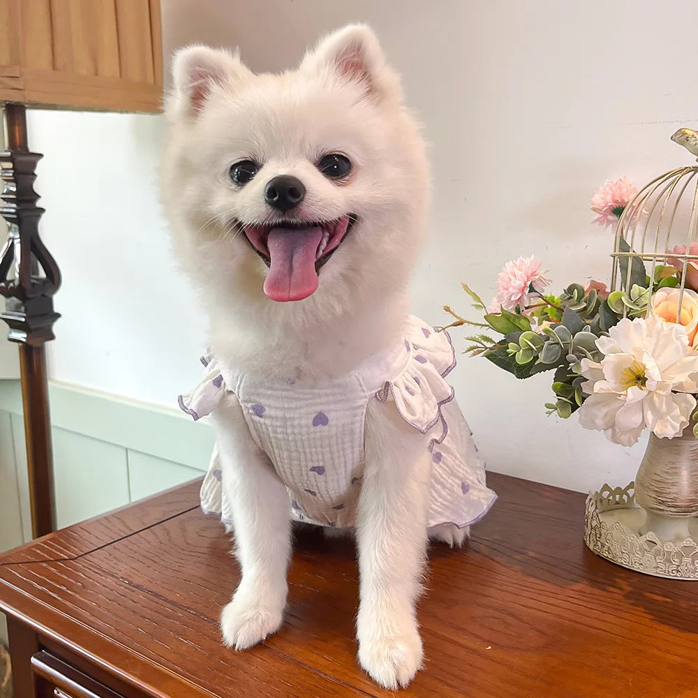 Sweet Cotton Pet Skirt Dress