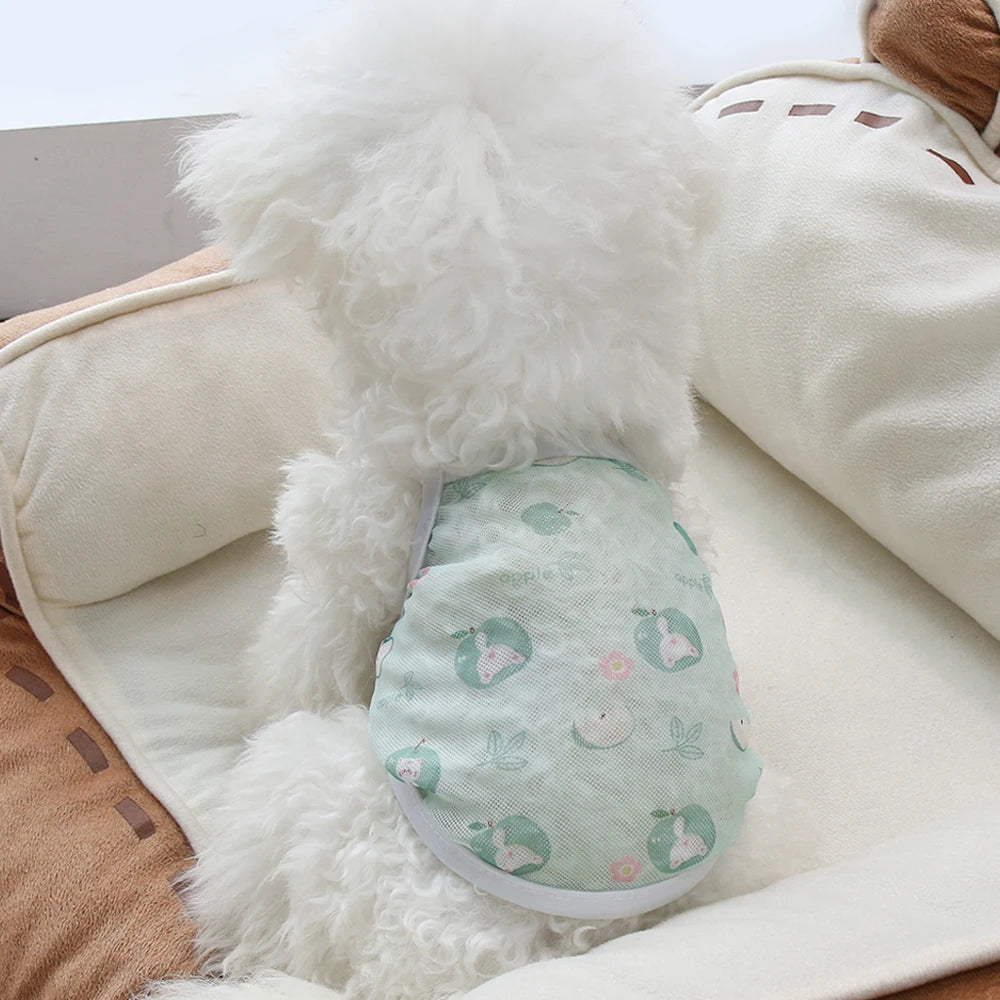 Breathable Mesh Summer Pet Vest