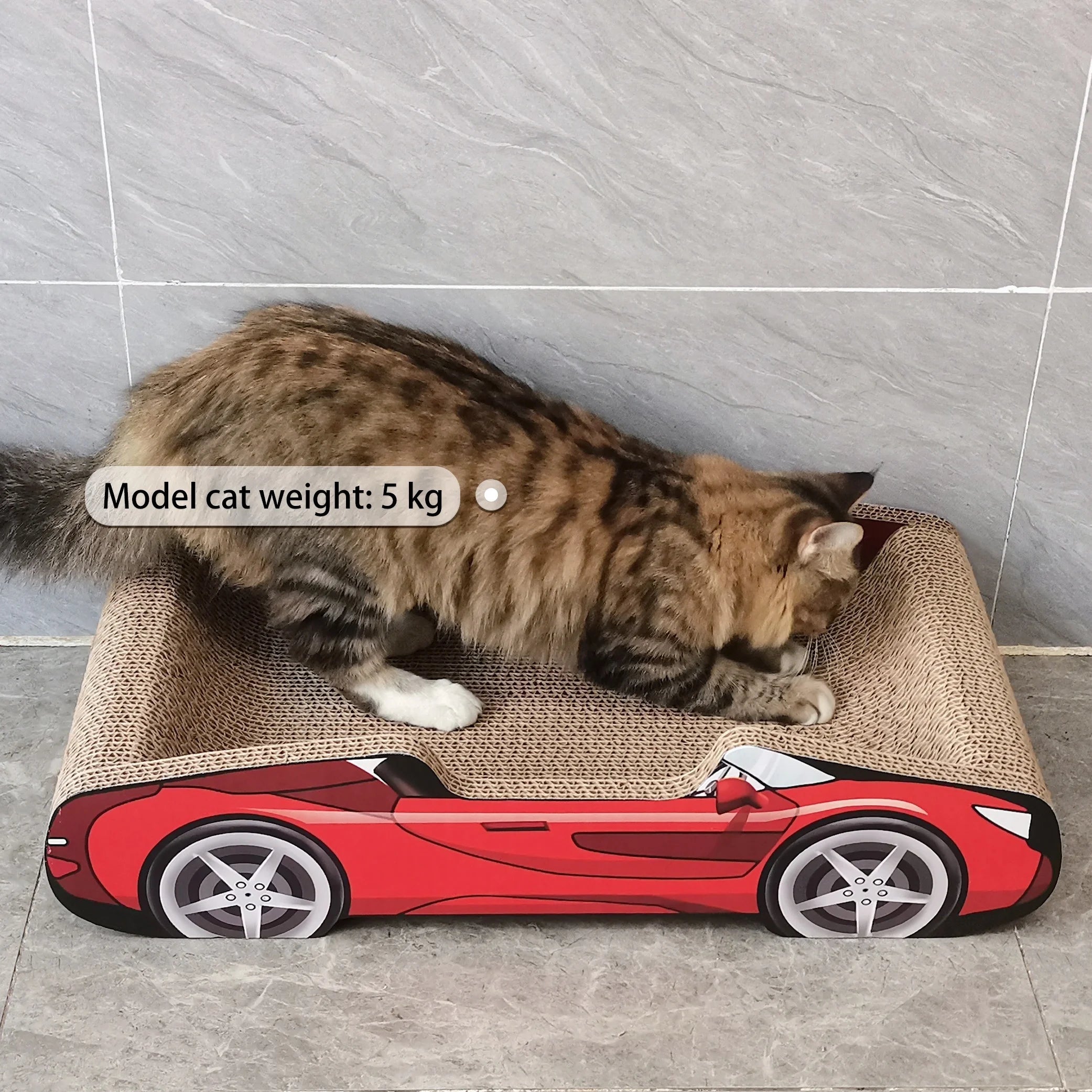 Cute Cat Beds Kitten Bed Soft and Cozy Small Dog Beds with Pillow Washable Pet Mat for Puppy and Kitty Funny Supercar Cat Toys
