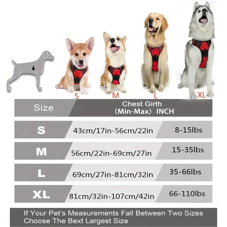 Complete Dog Collar Harness Set