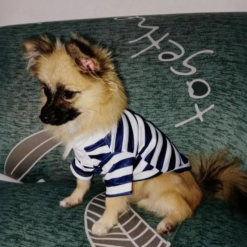 Striped Pet Shirt Soft Pullover Outfit Suitable For Puppy Dogs Cats Schnauzers Pomeranians Daily Casual Pet Apparel
