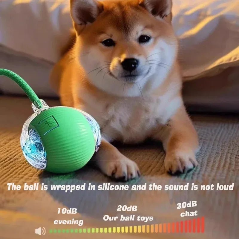 Smart Automatic Rolling Dog Ball