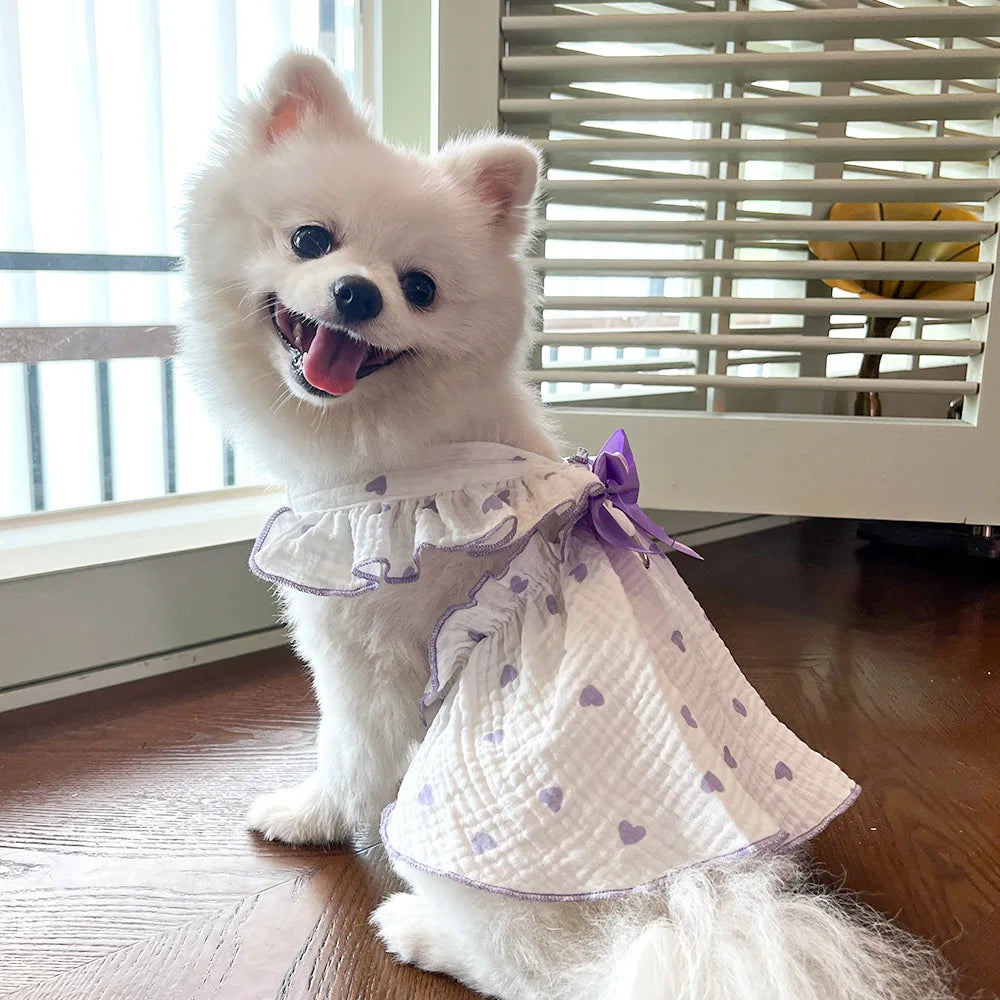 Sweet Cotton Pet Skirt Dress