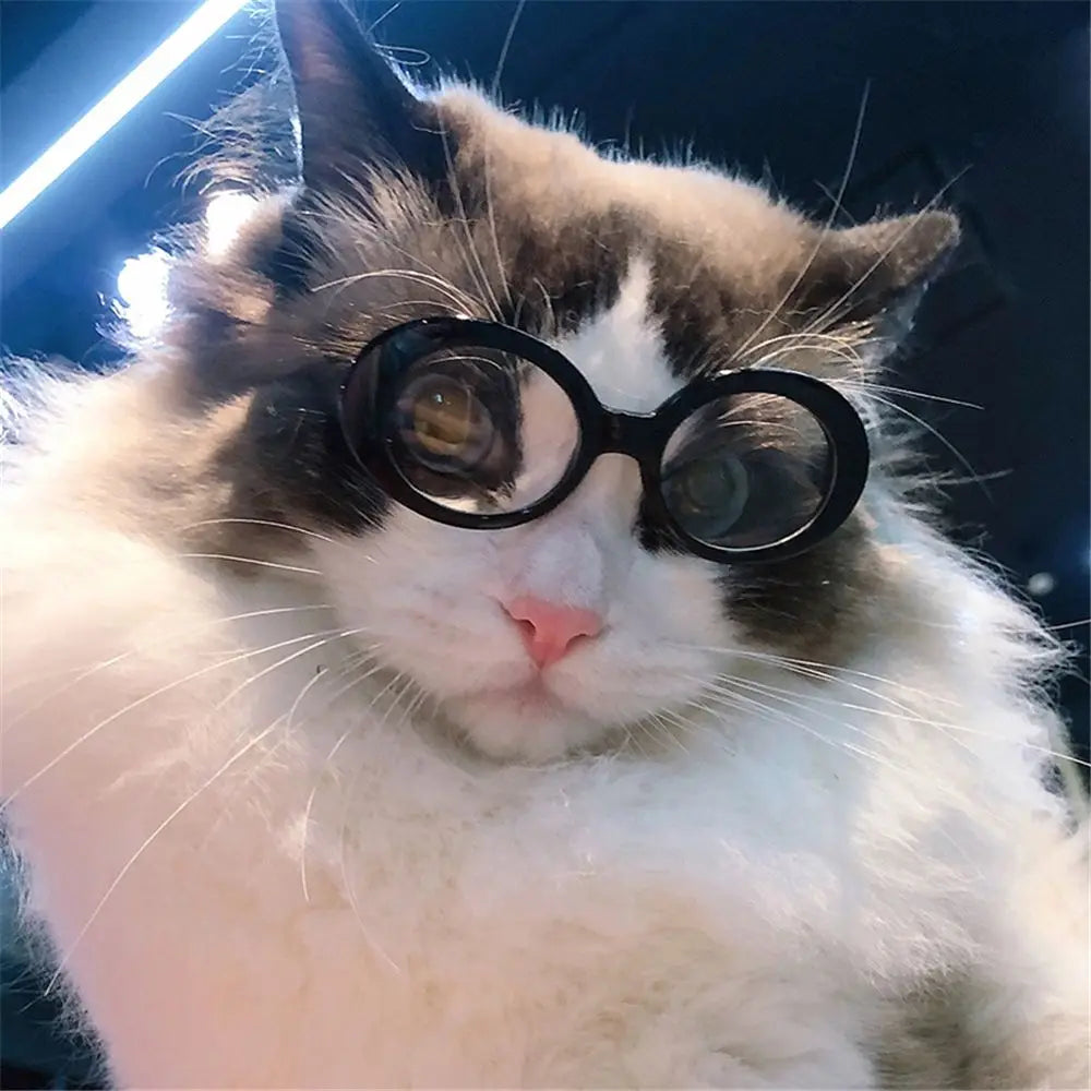 Doll Accessories Cool Photograph Props Pet Accessories Small Dog Cat Glasses Round Frames Glasses Pet Eyeglasses Dog Sunglasses
