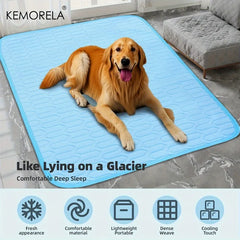 Ice-Cool Sweat Absorbent Pet Mat