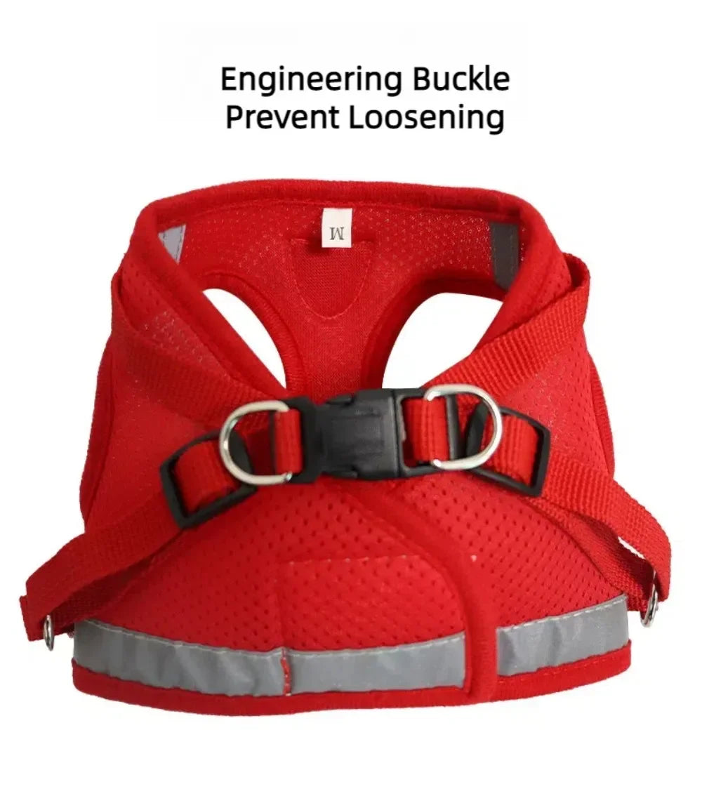 Escape-Proof Mesh Cat Harness Set