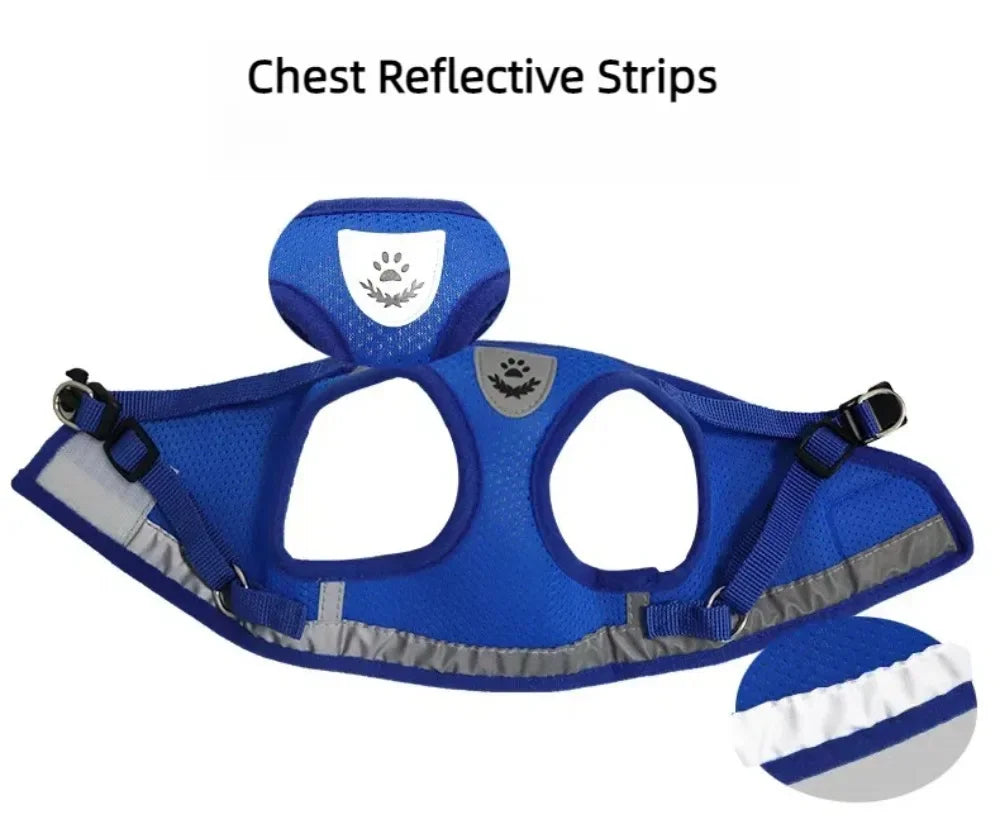 Escape-Proof Mesh Cat Harness Set