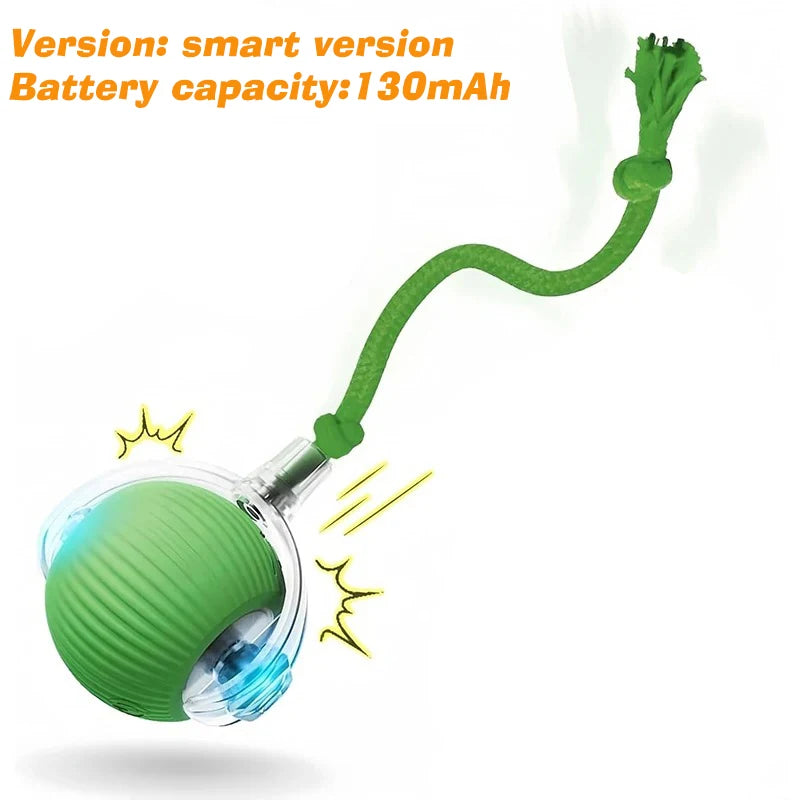 Smart Automatic Rolling Dog Ball