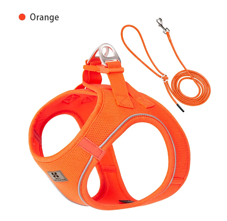 Reflective Outdoor Walking Harness Set