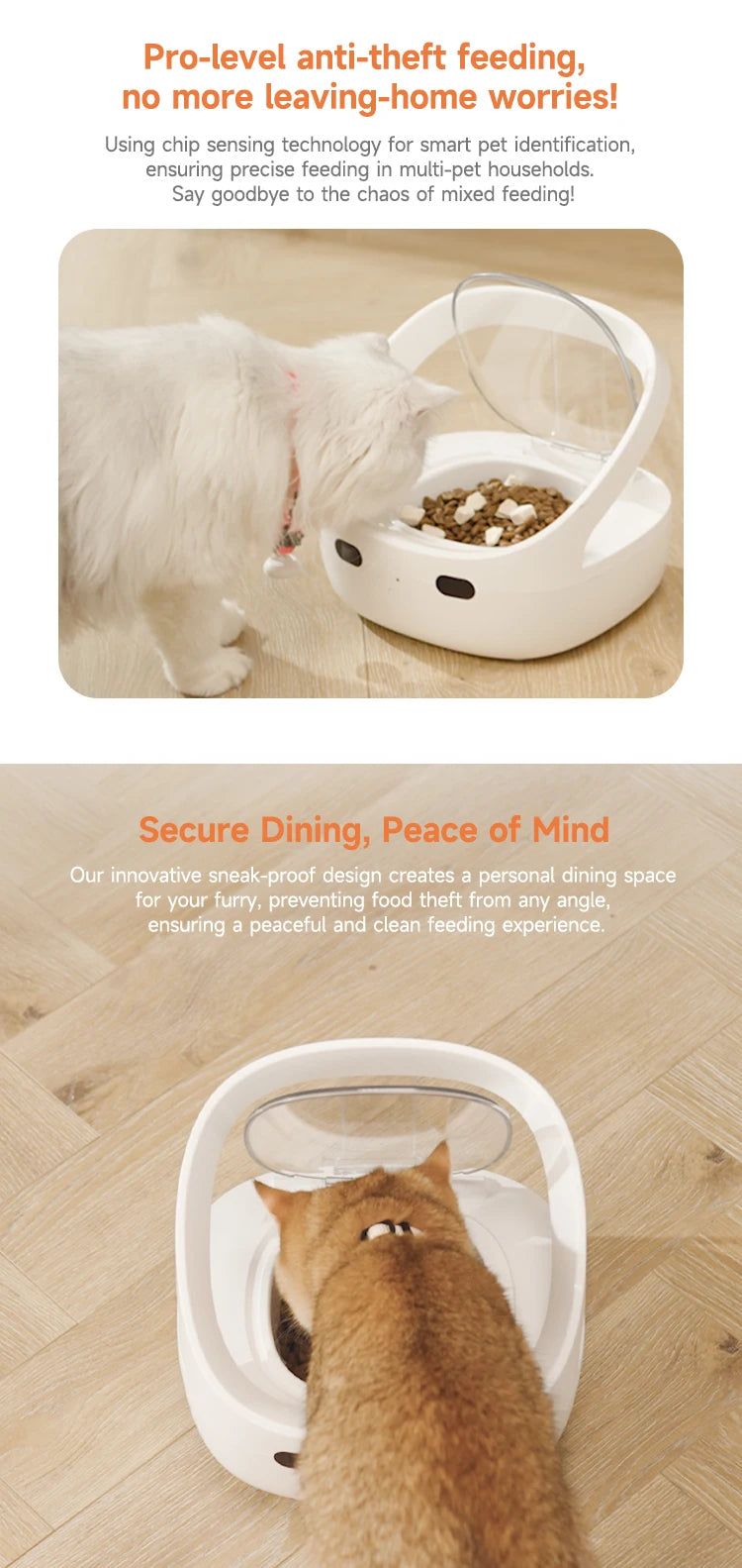 New Petoneer NutriCare Feeder Tailored For Multi-Pet Households Pet feeder Cat And Dog Feeder With App