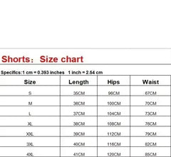 Summer Shorts Men Fast Drying Swim Shorts Breathable Net Fast Drying Surf Beach Pants Men's Fitness Pants Elastic Waist Shorts