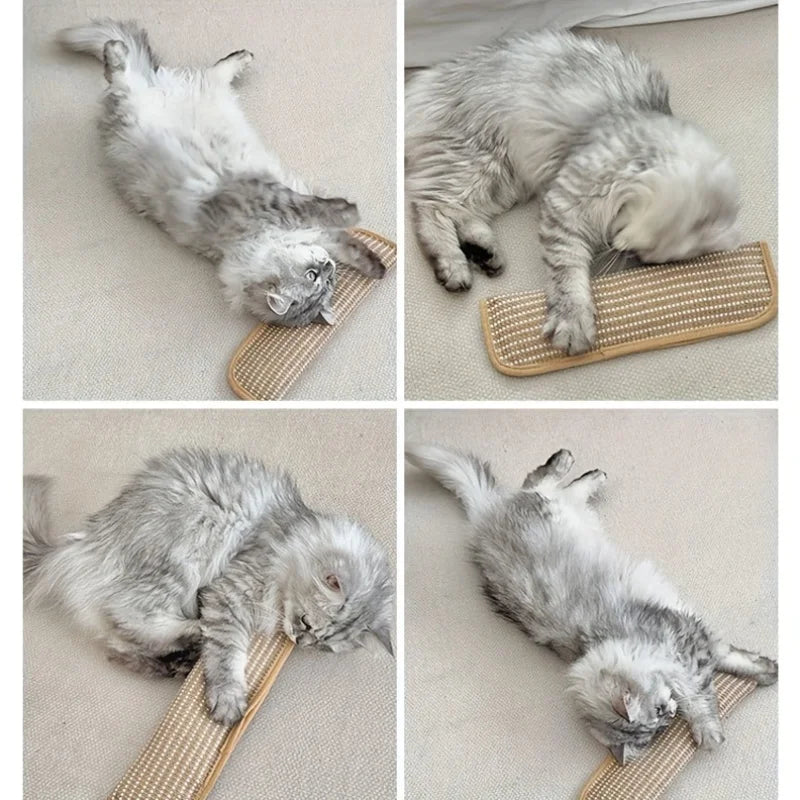 Chew Resistant Cat Scratch Pillow