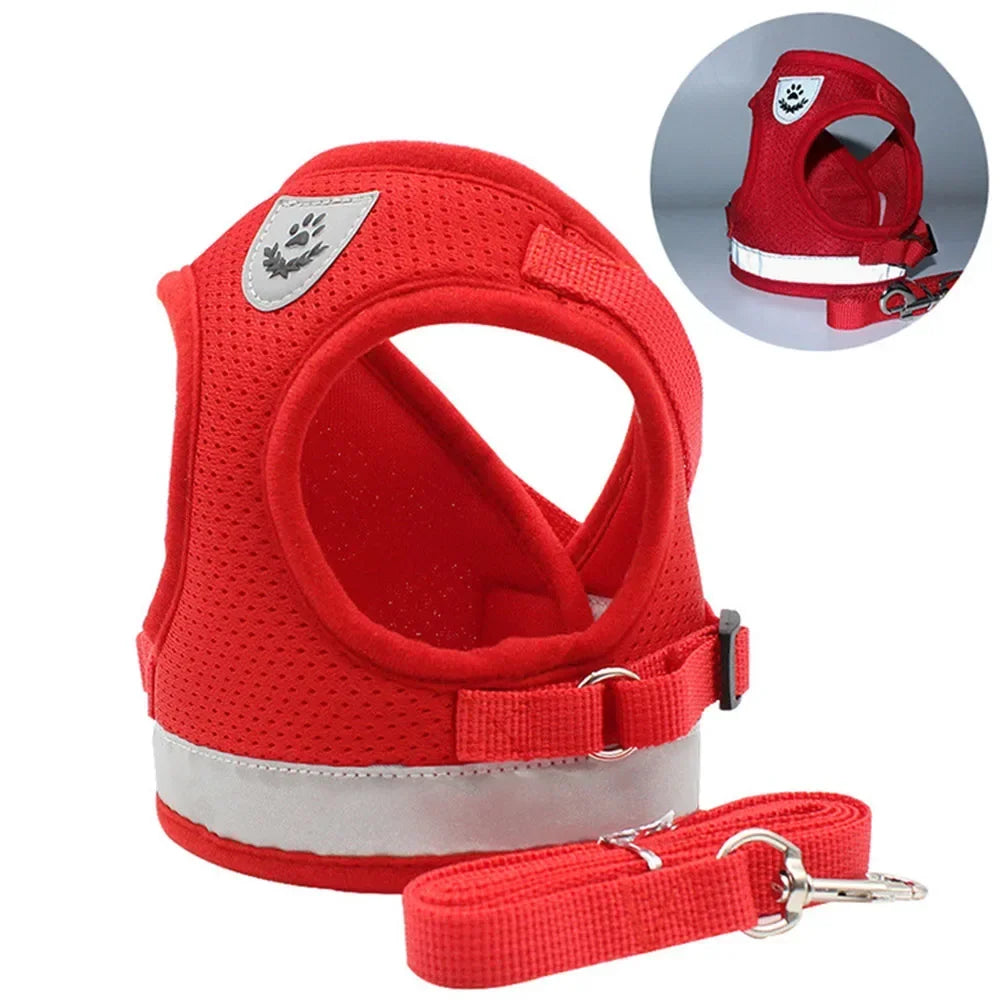 Escape-Proof Mesh Cat Harness Set