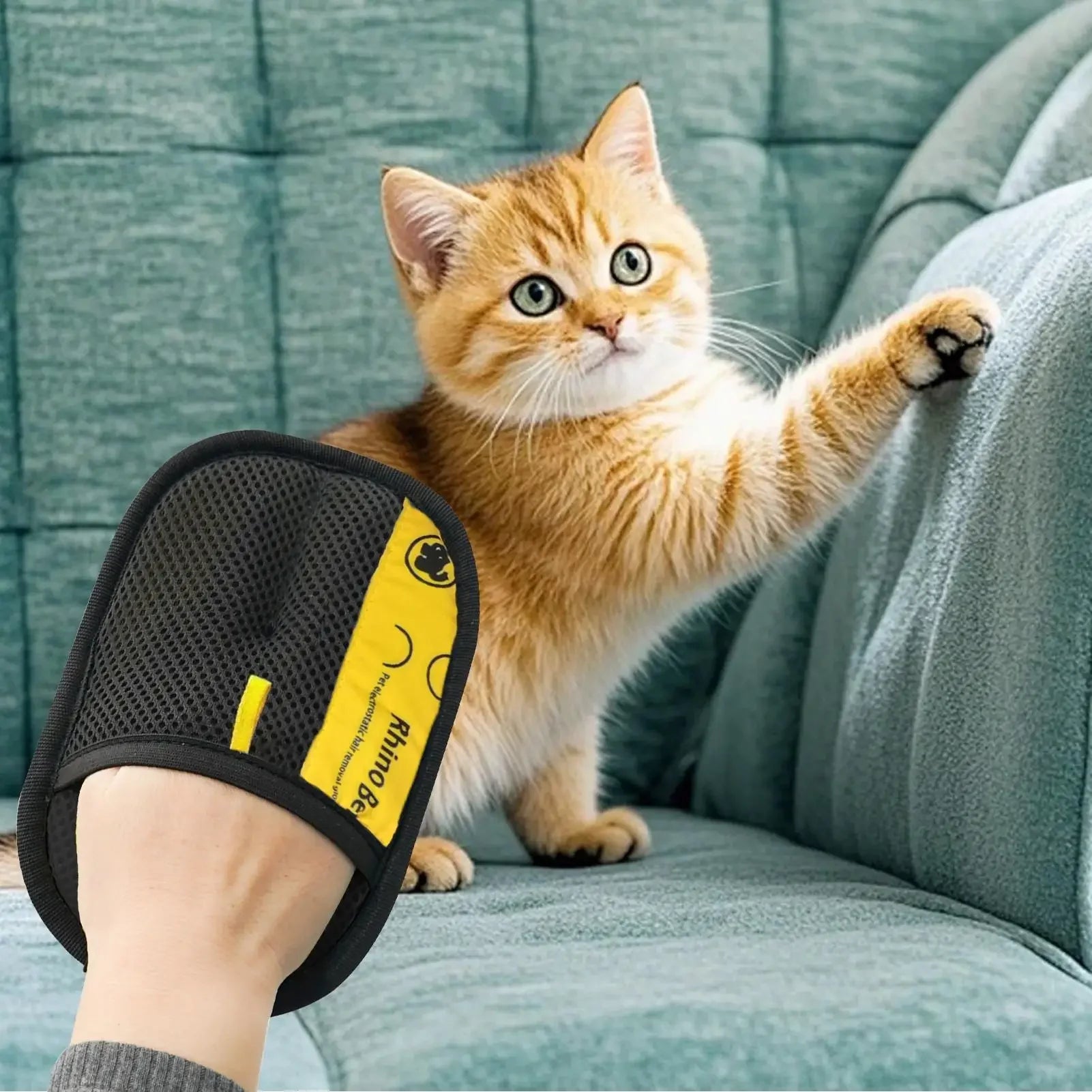 Cat Grooming Gloves Electrostatic Pet Hair Removal Brush for Cleaning Sofa Carpet clothes Double-sided Pet Hair Remover