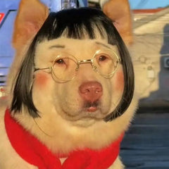 Cat Wig Accessories Dog Headdress Funny Costume Puppy Cosplay Dress Up Cute Pet Wig Cosplay Funny Props Puppy Costumes Supplies