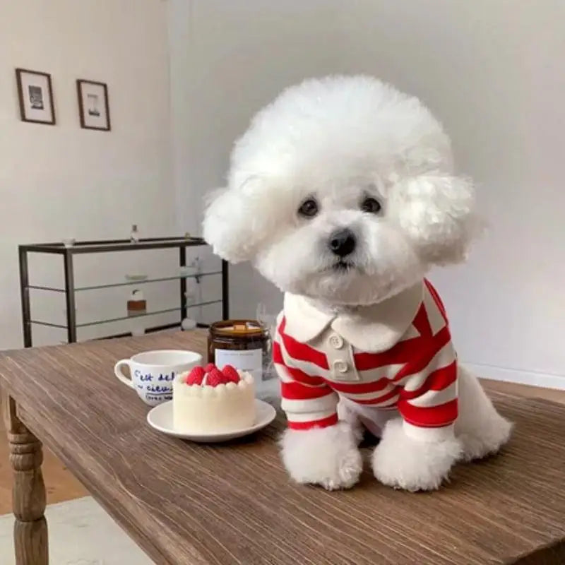 Striped Pet Shirt Soft Pullover Outfit Suitable For Puppy Dogs Cats Schnauzers Pomeranians Daily Casual Pet Apparel