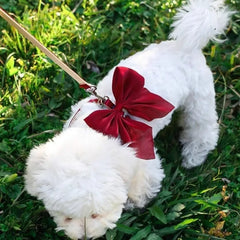 Pet Accessories Adjustable Pet Harness Cute Bow Breathable Dog Chest Strap Escape-Proof Comfort Cat Leash for Dogs Puppy Rabbit