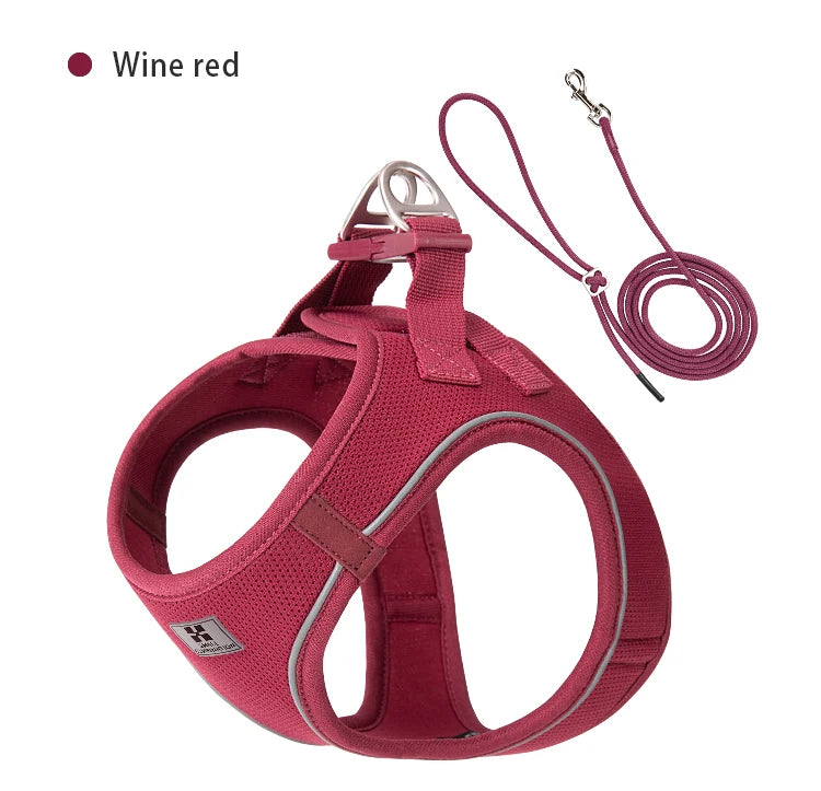 Reflective Outdoor Walking Harness Set