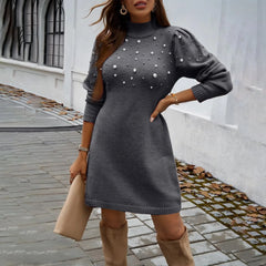 Elegant High Neck Sweater Dress